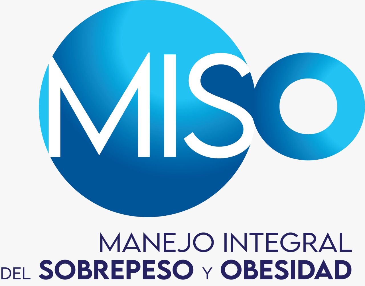 Curso MISO